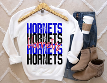 Load image into Gallery viewer, Hornets
